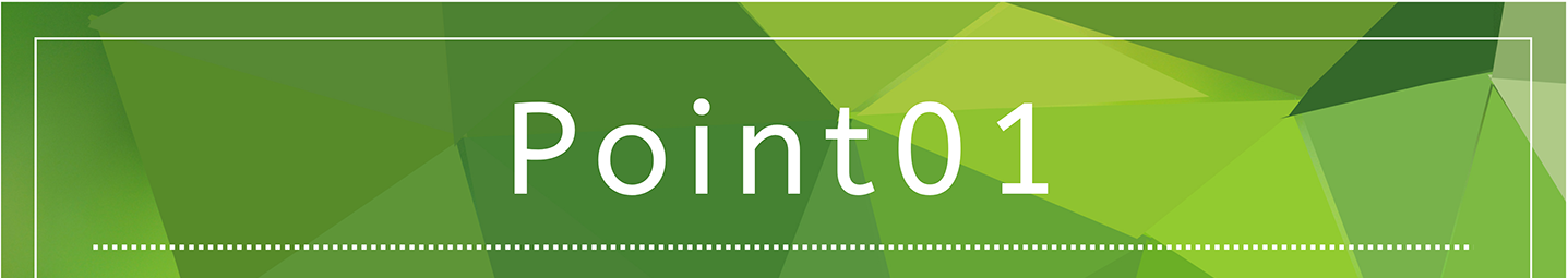 Point01
